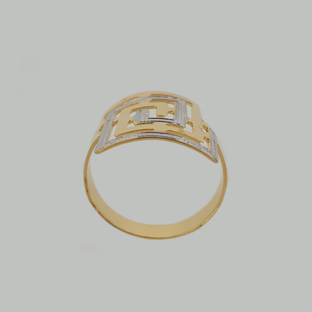 Ring in Yellow Gold Filled with Silver Enamel