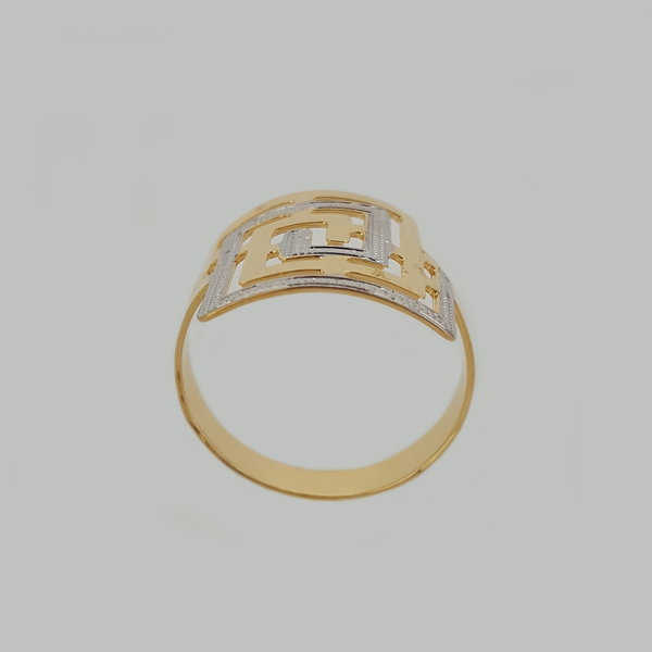 Ring in Yellow Gold Filled with Silver Enamel