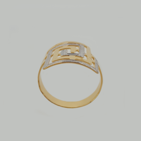 Ring in Yellow Gold Filled with Silver Enamel