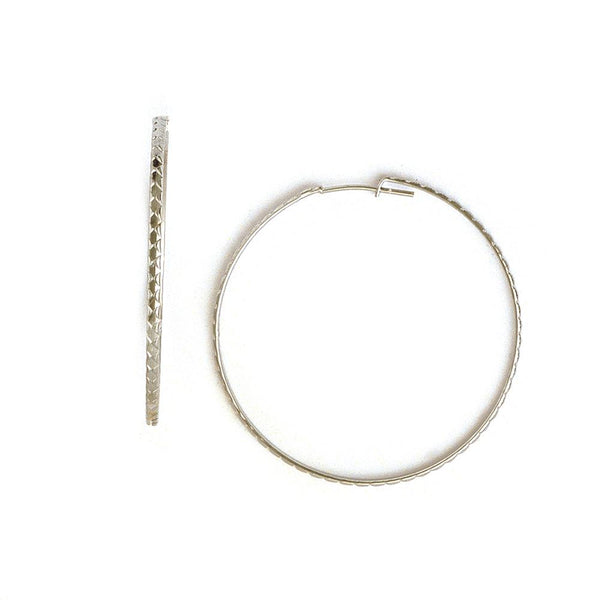 Hoop Earrings in Stainless Steel