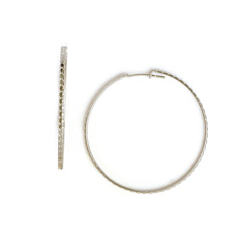 Hoop Earrings in Stainless Steel