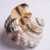 Ovals Ring in Yellow Gold Filled